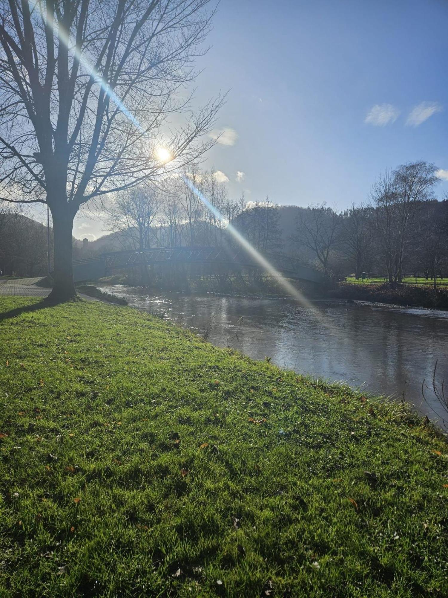 Hakans Moselblick Ferienwohnung Treis-Karden Buitenkant foto