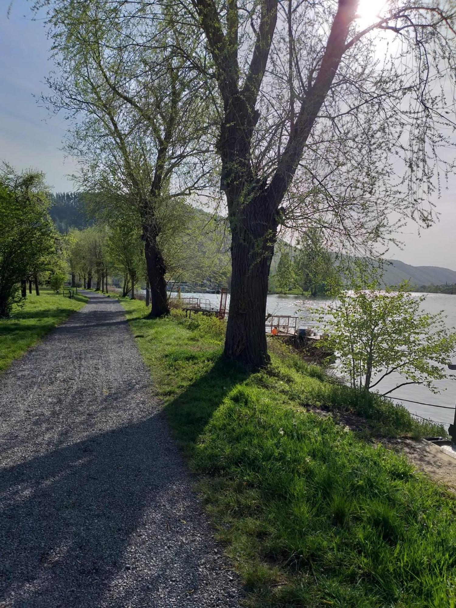 Hakans Moselblick Ferienwohnung Treis-Karden Buitenkant foto